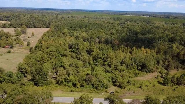 73.73 Acres in Johnson County, GA  - Kite, Georgia, 31049