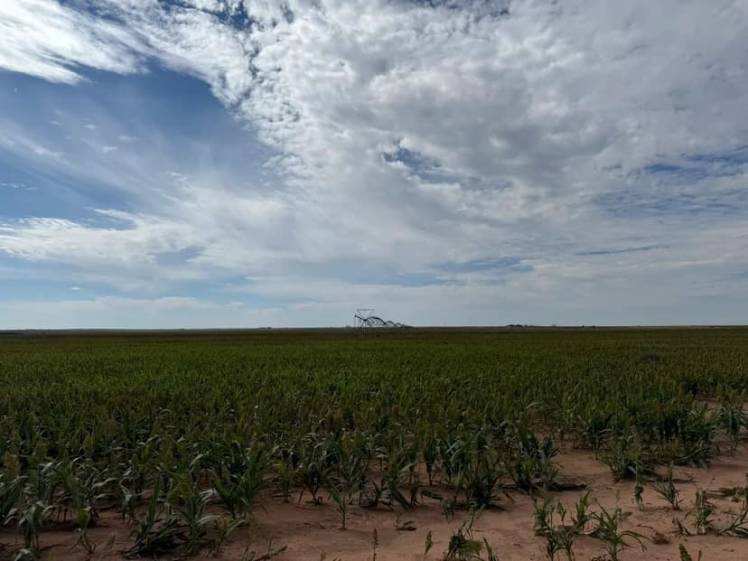 Charles Hinds Estate Auction | Lamb County, Texas