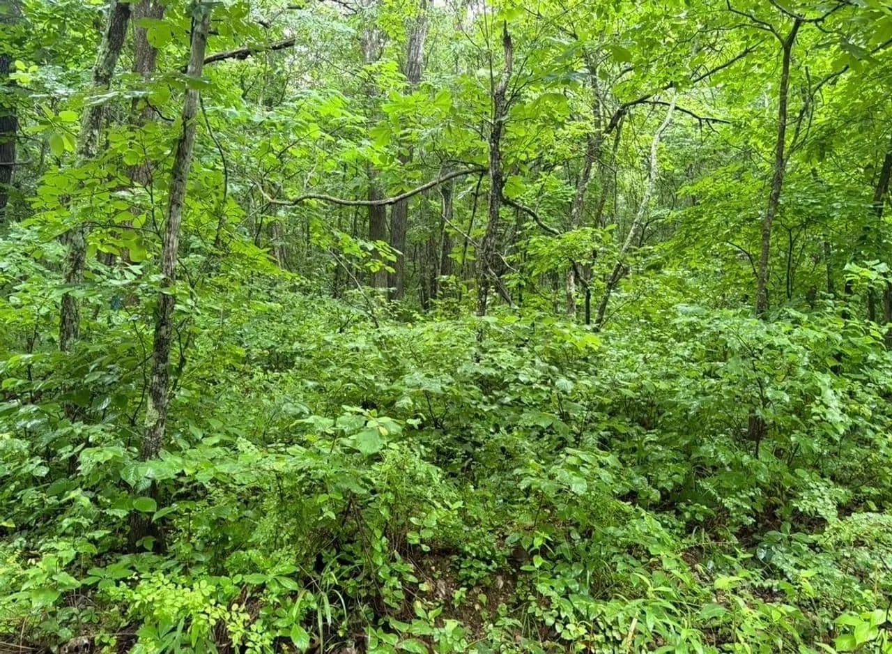 72±AC For Sale in Piedmont, MO - Piedmont, Missouri, 63957