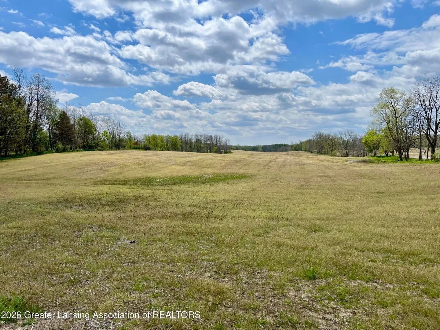 Lots & Land-Other in Charlotte - Charlotte, Michigan, 48813