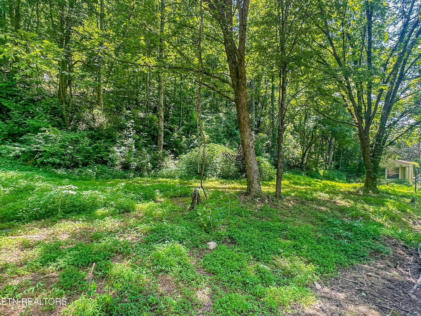 2.82 Acres of Land for Sale in Knoxville, TN - Knoxville, Tennessee, 37920