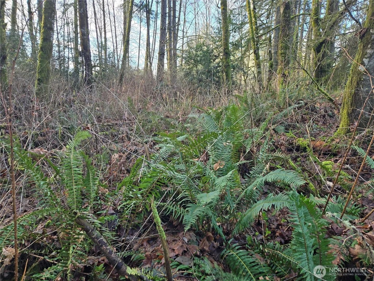 5.04 Acres of Land for Sale in Poulsbo, WA - Poulsbo, Washington, 98370