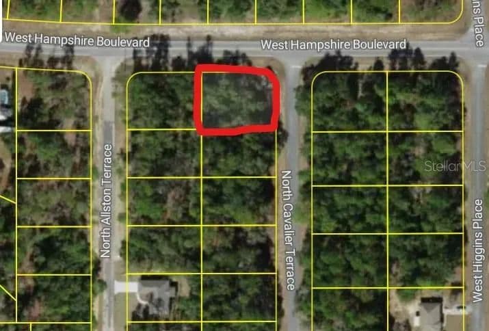 Lots & Land-Other in CITRUS SPRINGS - Citrus Springs, Florida, 34433