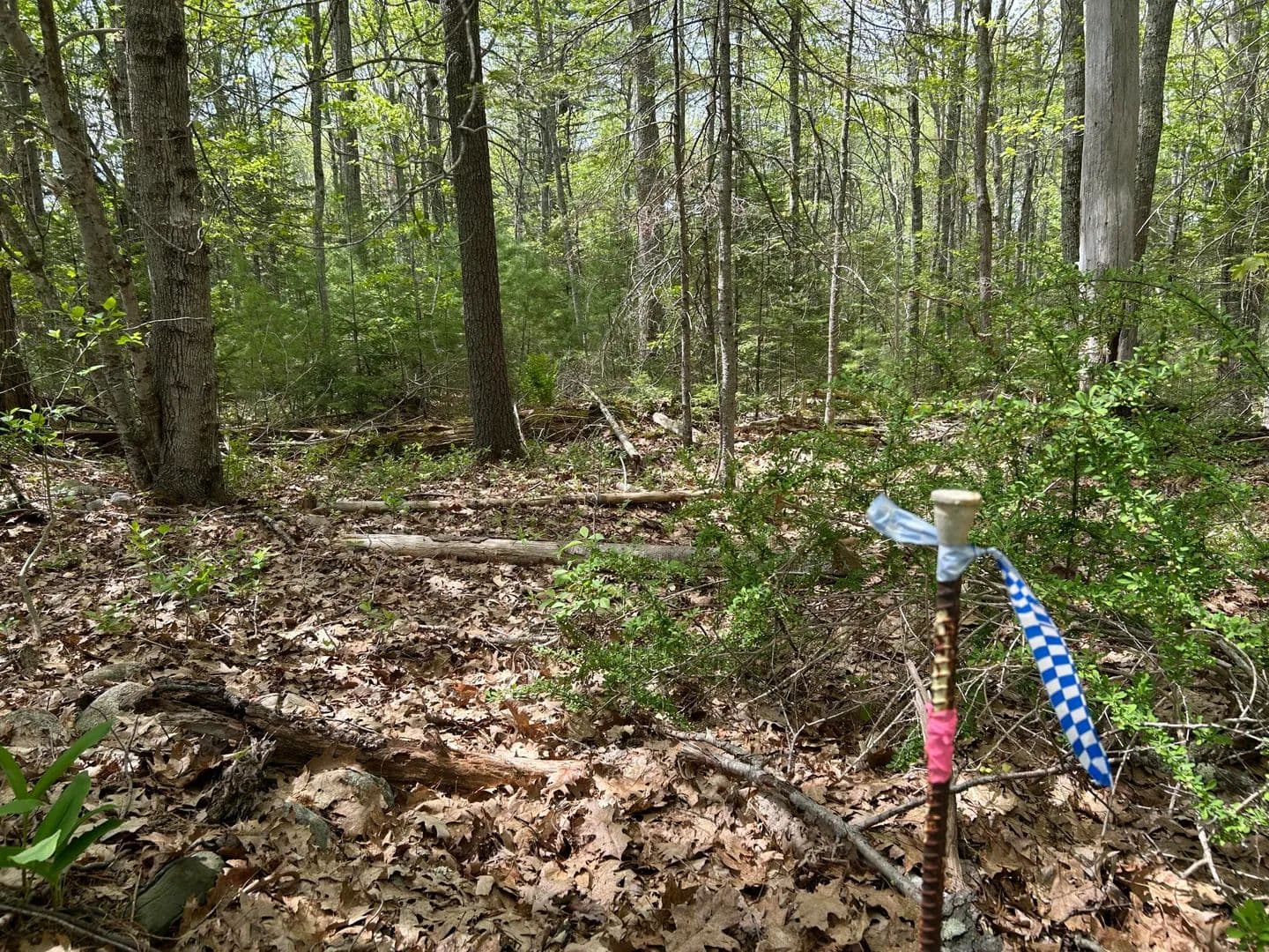 14.15 Acres of Land for Sale in Waldoboro, Maine - Waldoboro, Maine, 04572