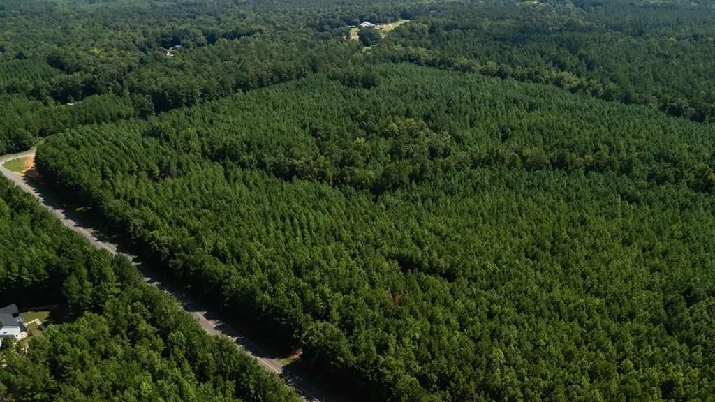 Vacant Land in Hamilton - Hamilton, Georgia, 31811