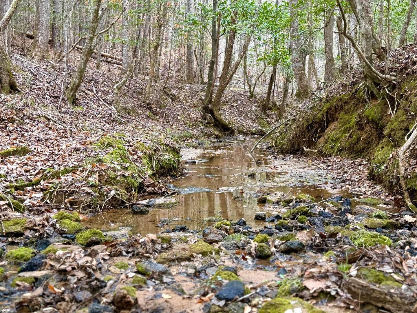 Clarksville Ragtown Road Hunting & Timber Tract - Grove Hill, Alabama, 36451