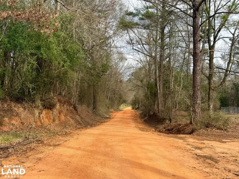 Clarksville Ragtown Road Hunting & Timber Tract