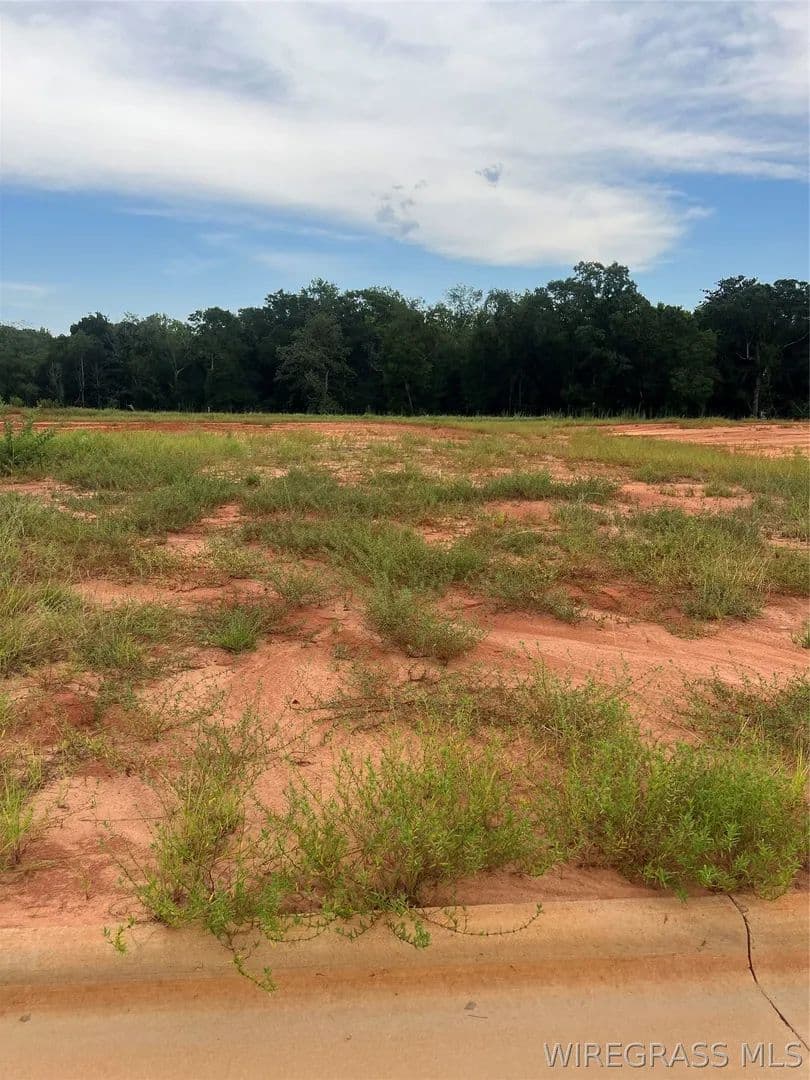Vacant Land in Enterprise - Enterprise, Alabama, 36330