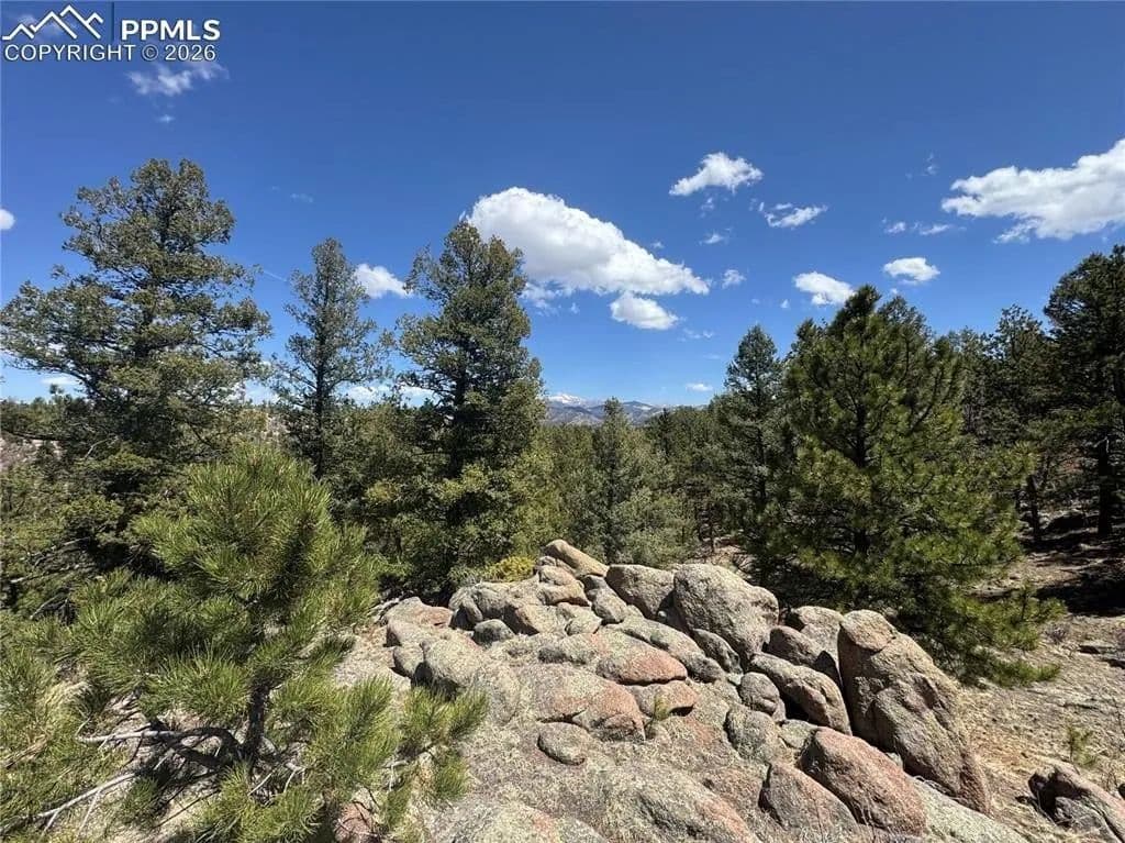 Lots & Land-Other in Florissant - Florissant, Colorado, 80816