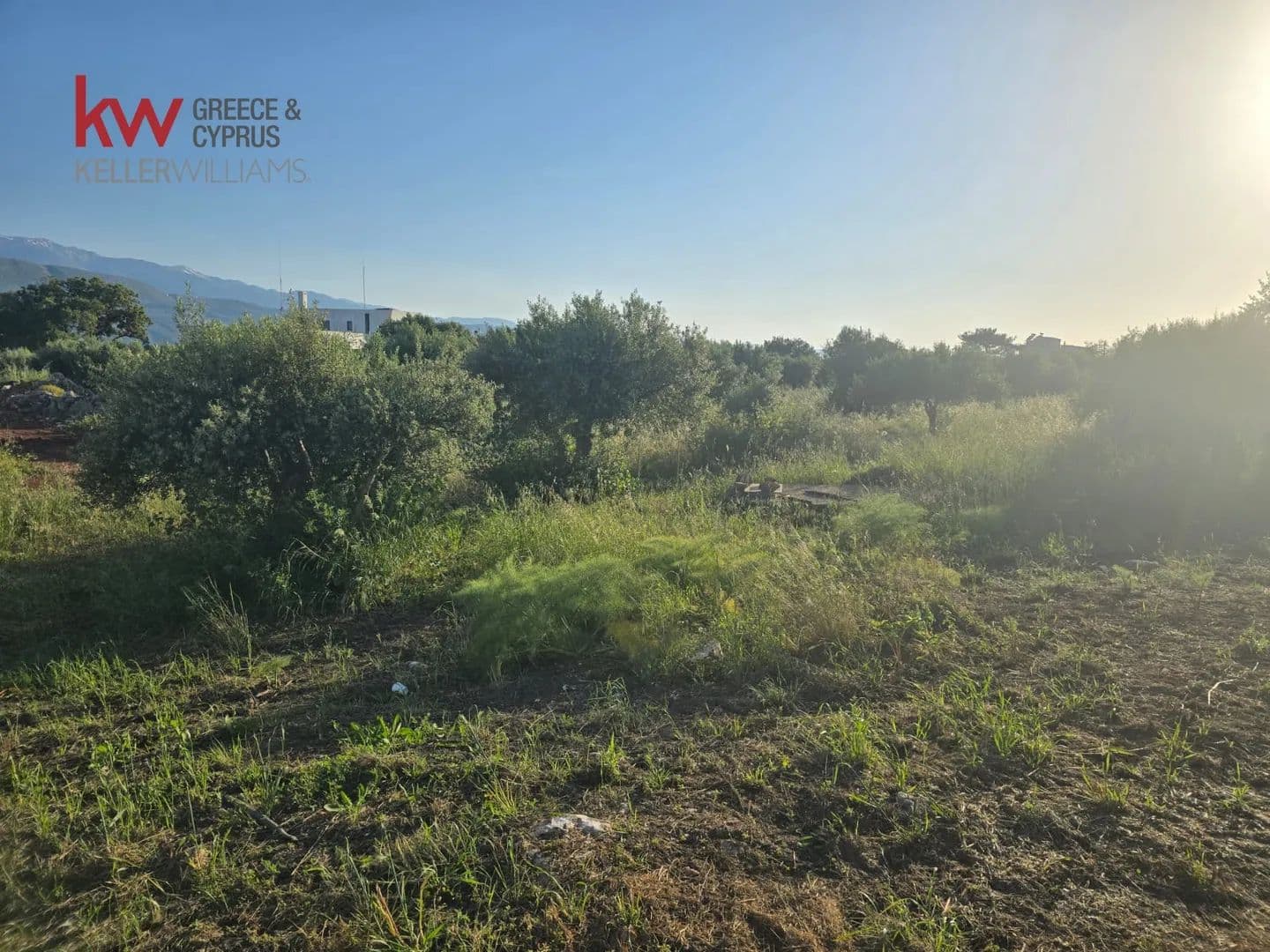 Land for Sale in Akrotiri, Chania Prefecture - land for sale