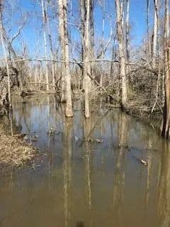 Lots & Land-Other in Bainbridge