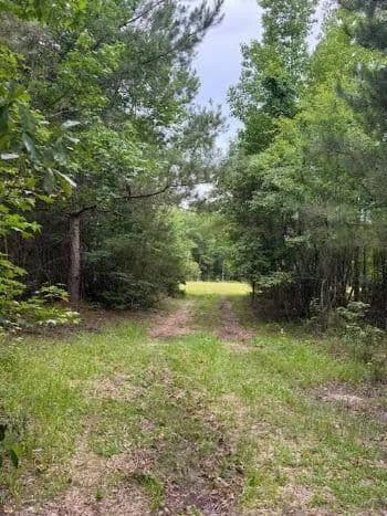 Lots & Land-Other in Summerton