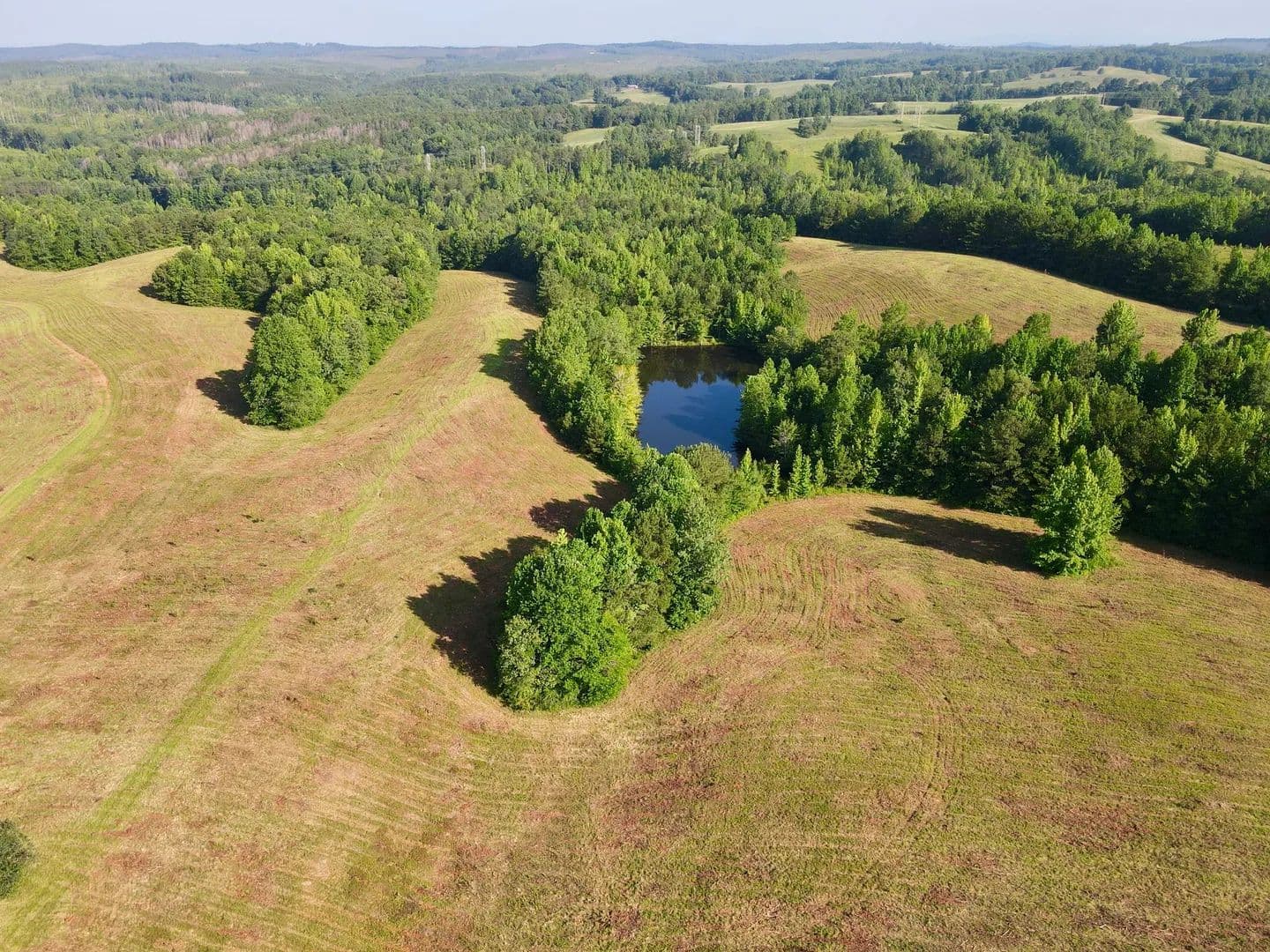 Emuckfaw Creek Farm - 250 +/- acre pasture & rec tract - Wadley, Alabama, 36276