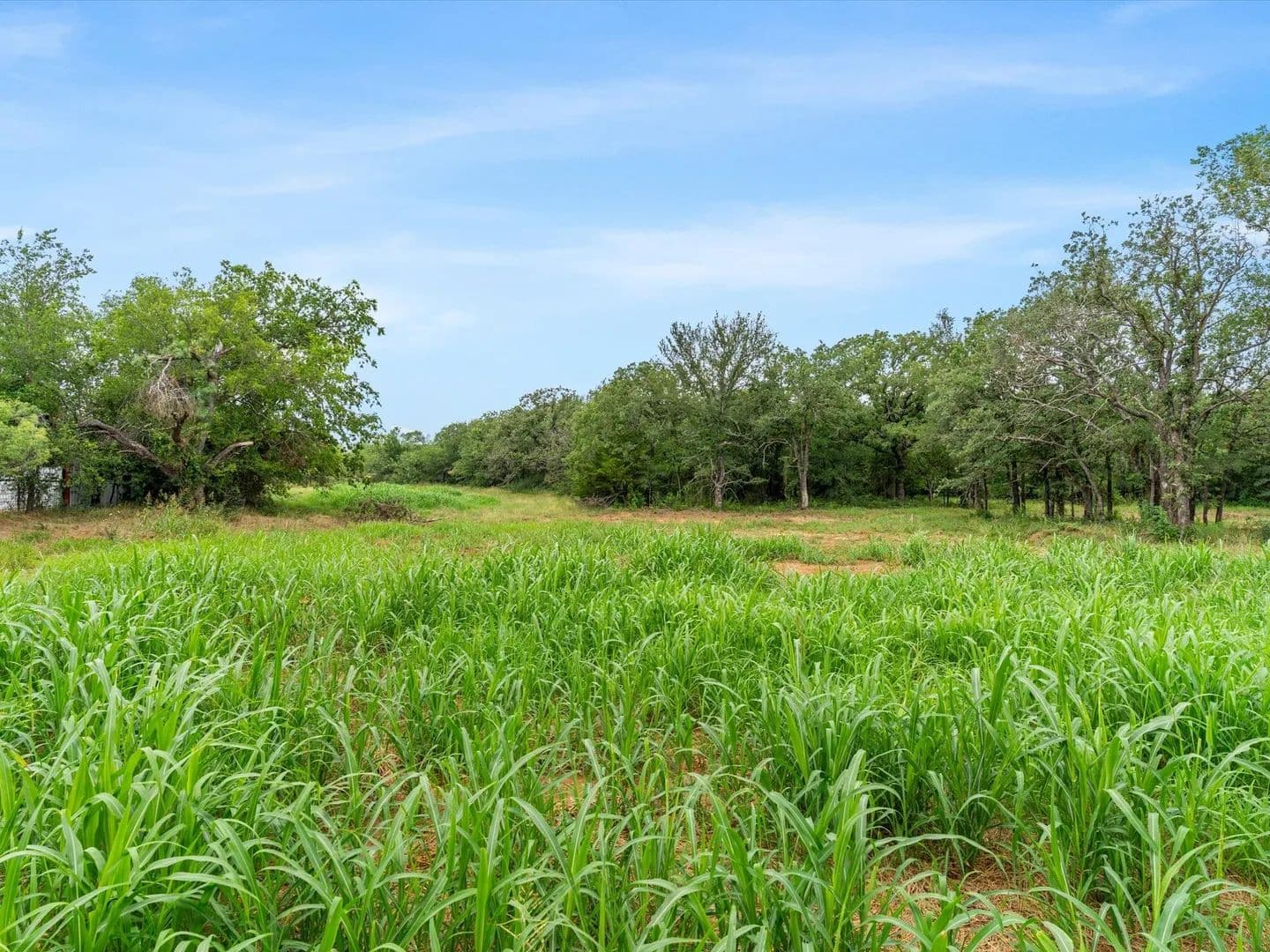 1.22 Acres of Land for Sale in Paradise, TX - Paradise, Texas, 76023