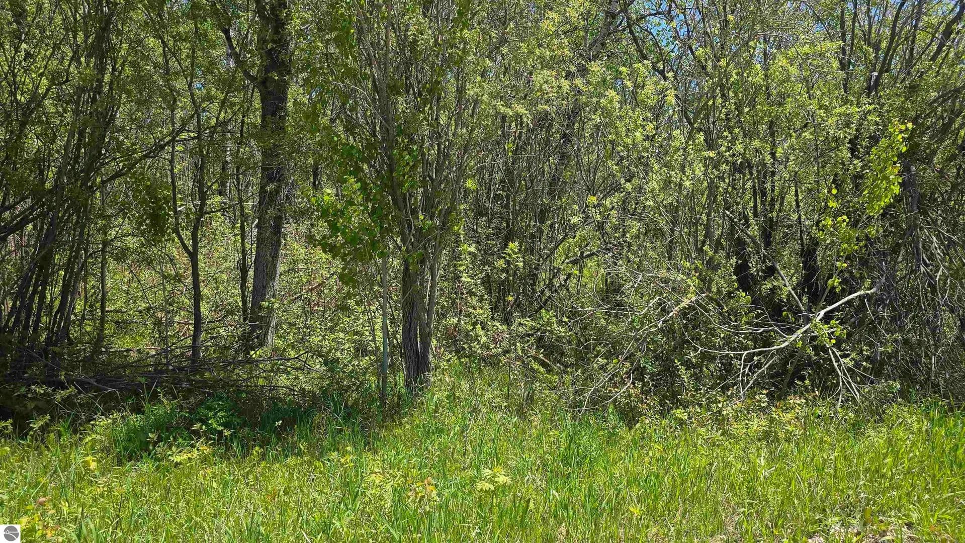 Property from 00 VL Mill Street - KW - Levering, Michigan, 49755