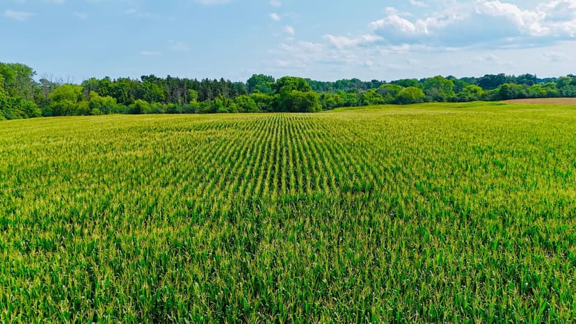 Vacant Land in Racine