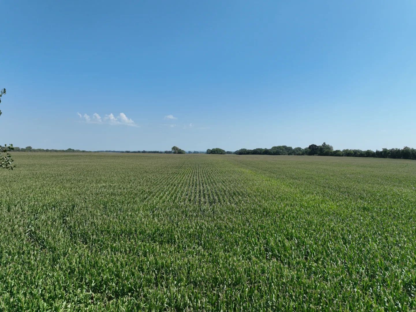 Land For Sale | 160+/- Acres | Stanton County, NE - Stanton, Nebraska, 68779