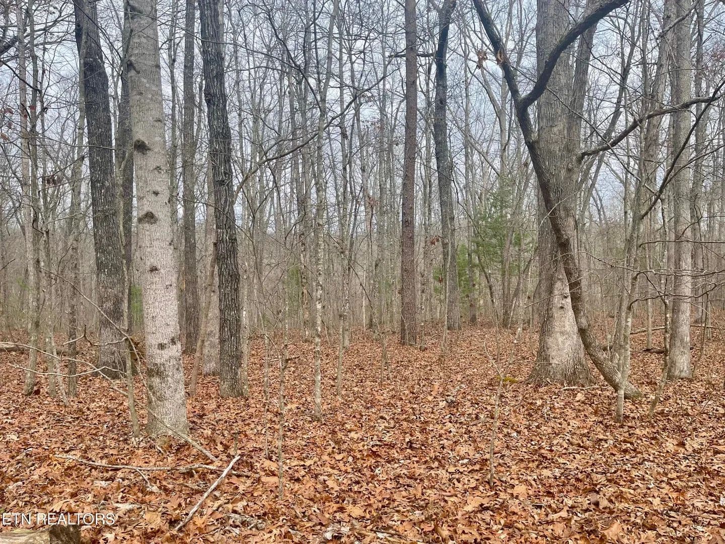Lots & Land-Other in Crossville - Crossville, Tennessee, 38558