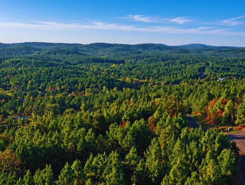 1.15 Acres of Land for Sale in Broken Bow, OK - Broken Bow, Oklahoma, 74728