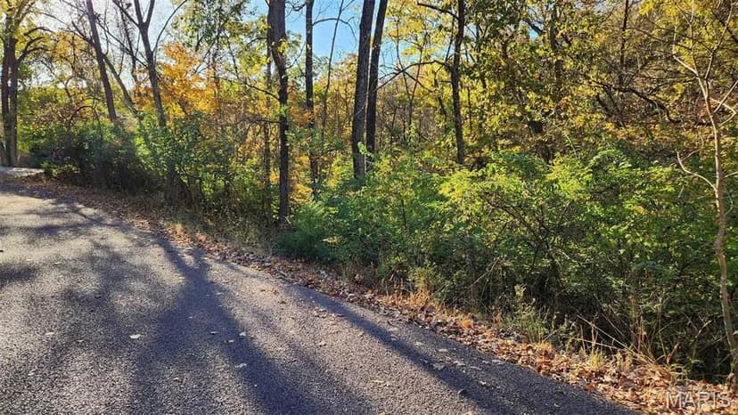Vacant Land in Marthasville