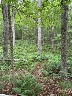 Vacant Land in Claryville