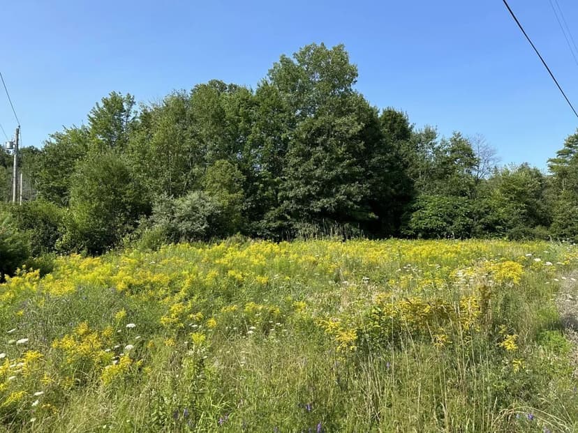 Land -Single Family Acreage in Belfast