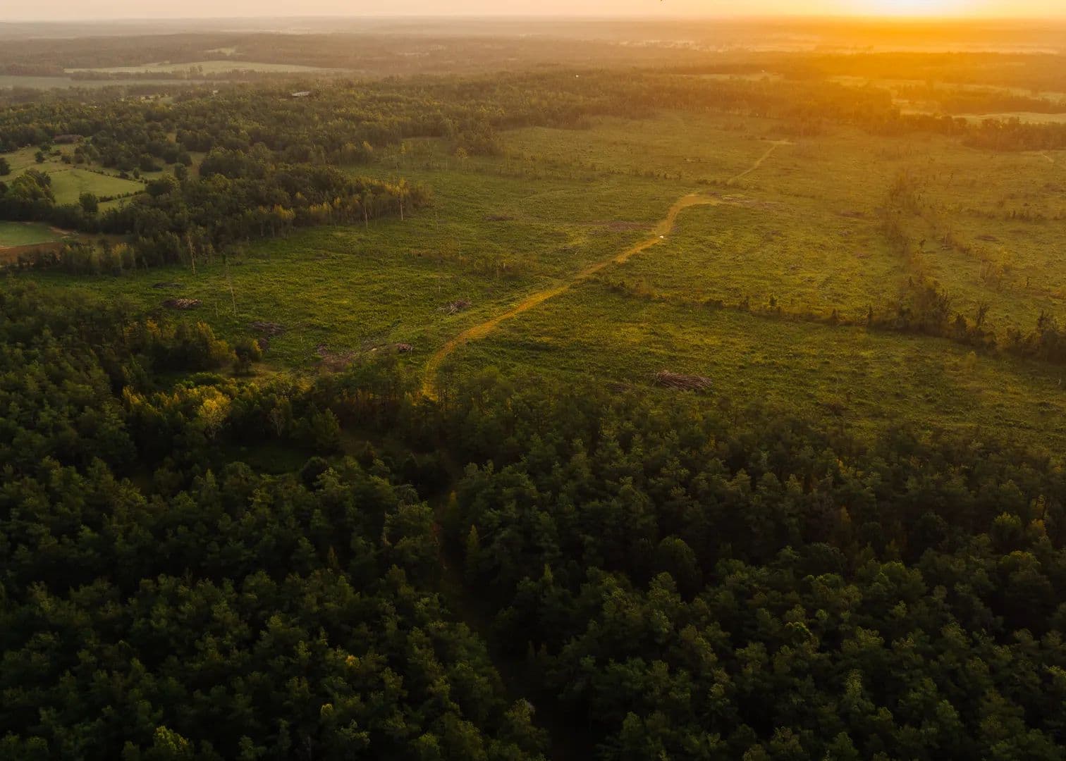 510 Acres in Carroll County, MS  - Mississippi, 39176