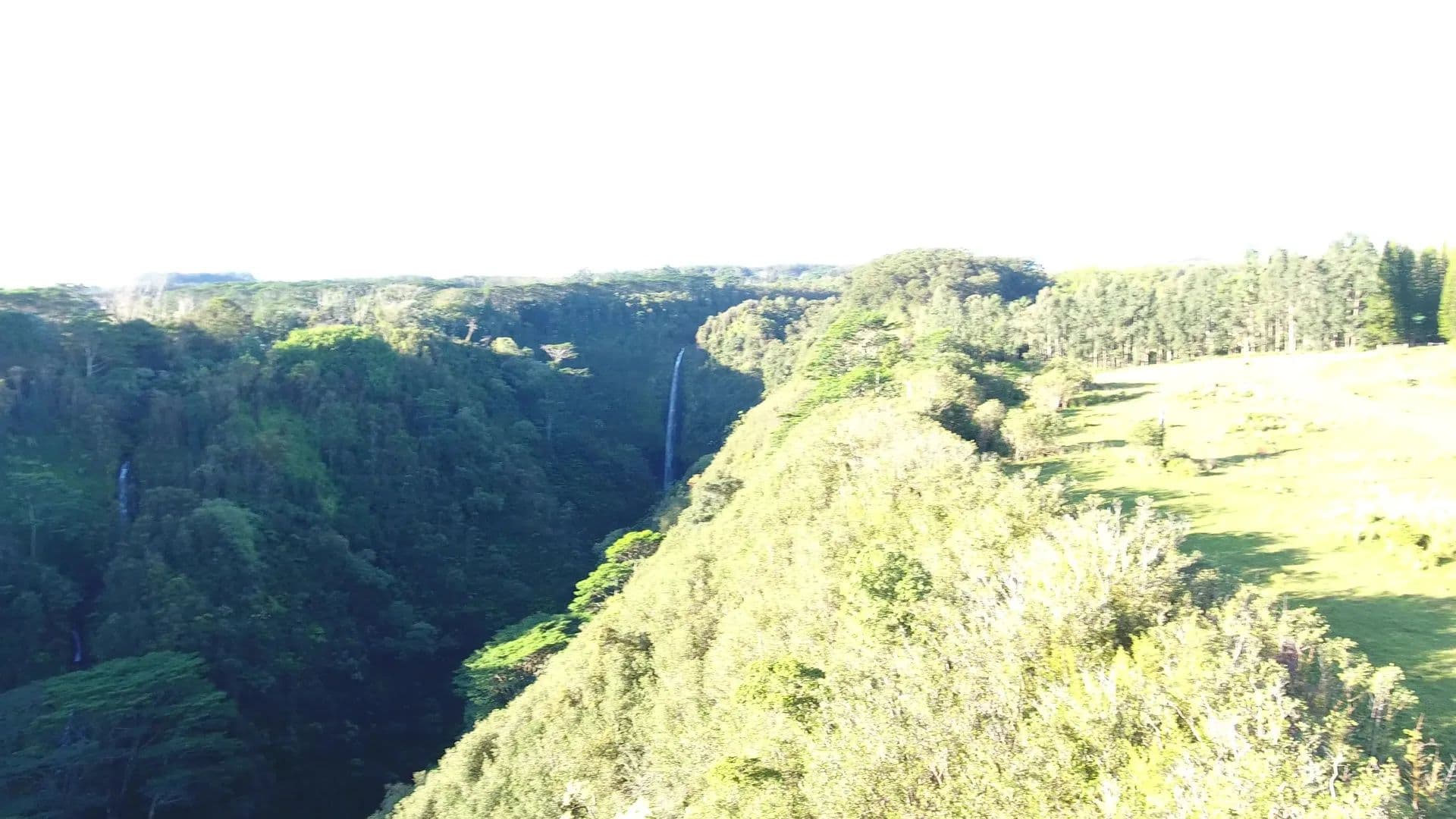 Vacant Land in Hakalau - Hakalau, Hawaii, 96710