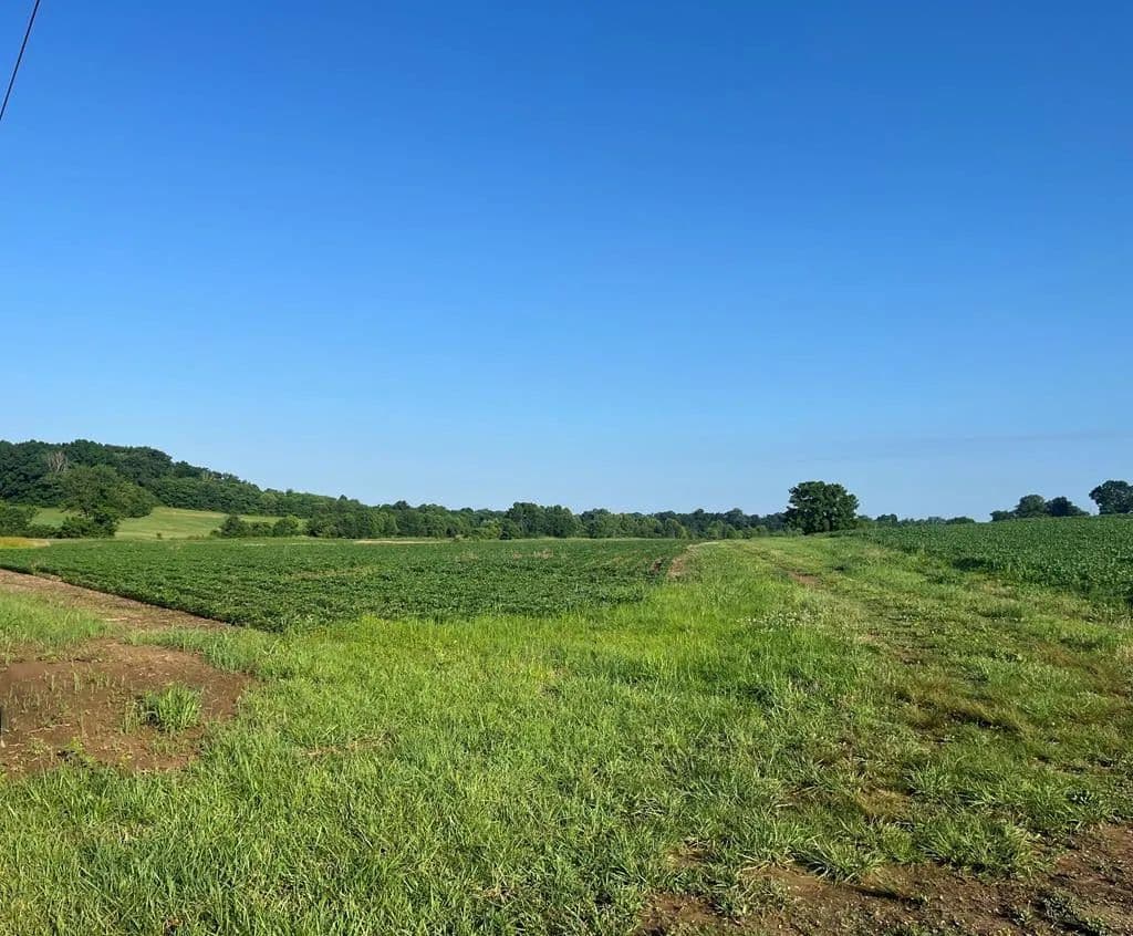 Property from 2012 Eagle Way Bypass - KW - Hopkinsville, Kentucky, 42240