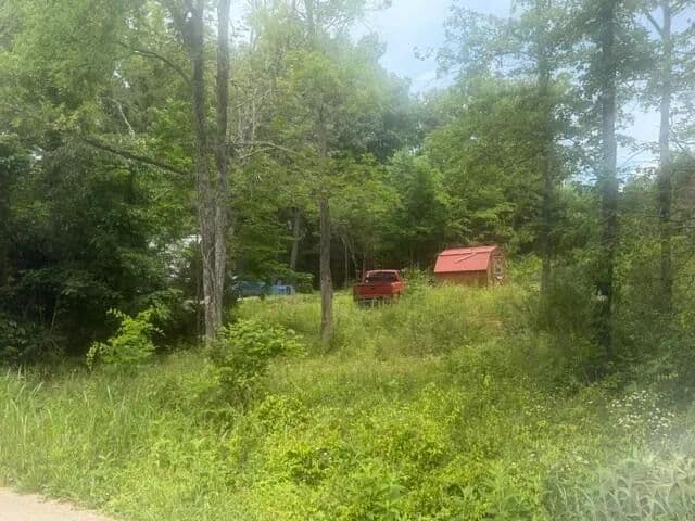Vacant Land in Burnside - Burnside, Kentucky, 42519