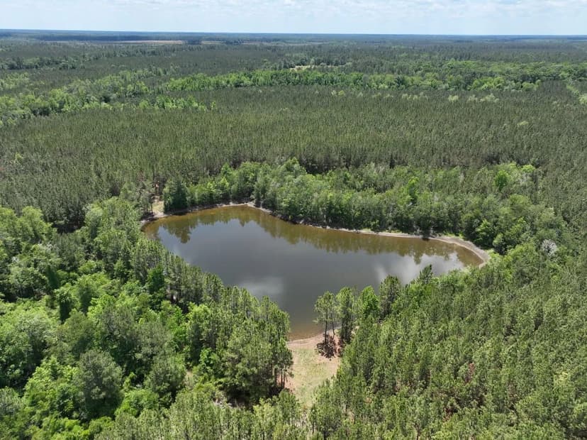 Recreational timberland with pond