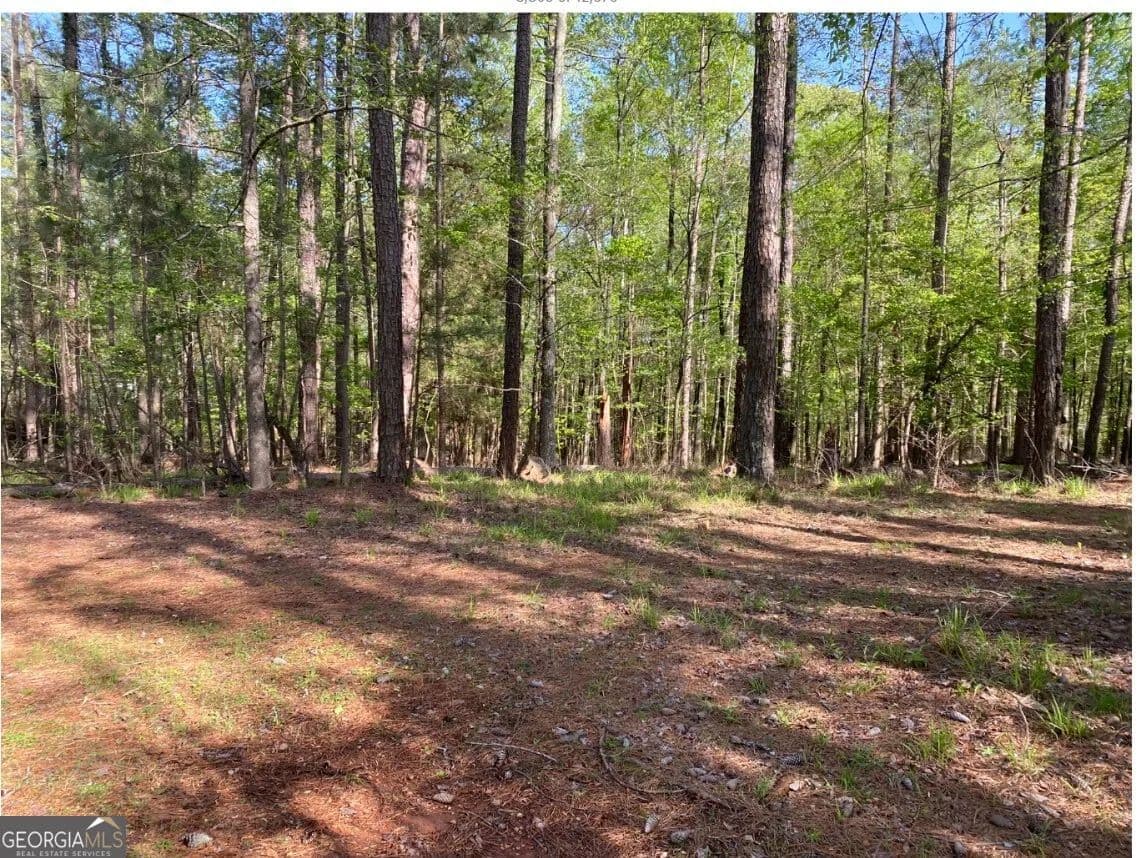 Property from 1021 Charles Court - KW - Greensboro, Georgia, 30642