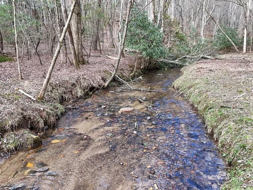 Lots & Land-Other in Mineral Bluff