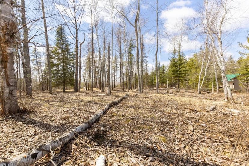 Vacant Land in Lakeport Twp