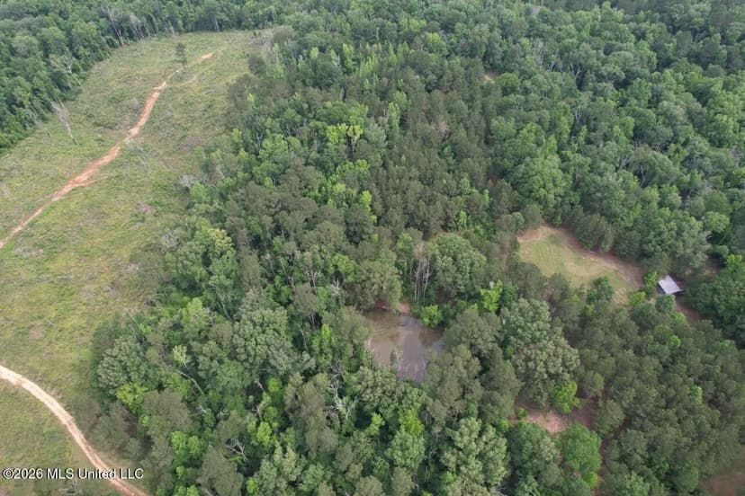 15 Acres with Pond & Homesite in Liberty, MS
