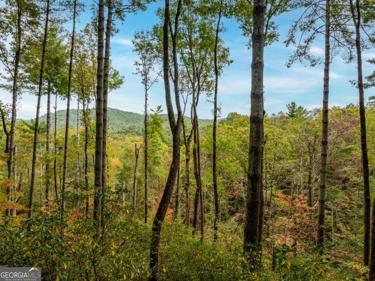 1.98 Acres of Land for Sale in Ellijay, GA - Ellijay, Georgia, 30540