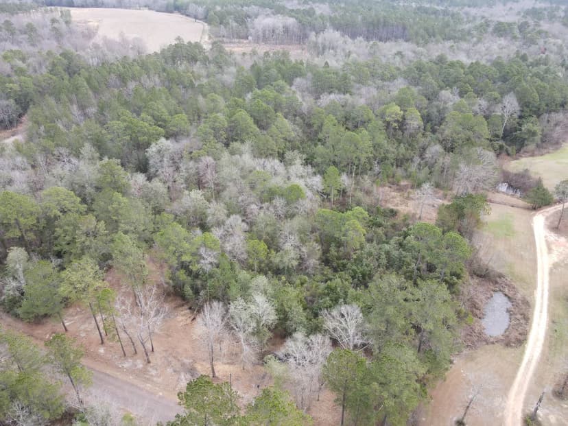10 Acres in Lamar County, MS 