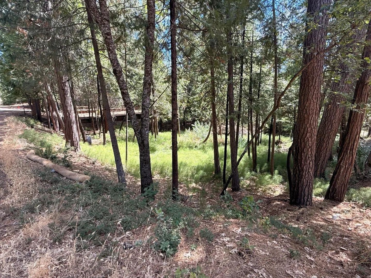 Lots & Land-Other in Avery - Avery, California, 95224