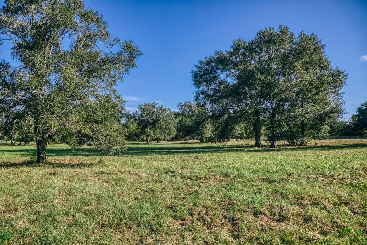 Thomas Ranchette - Bedias, Texas, 77831