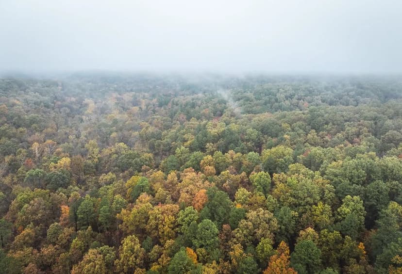 Marquart Hunting Camp Tract 5