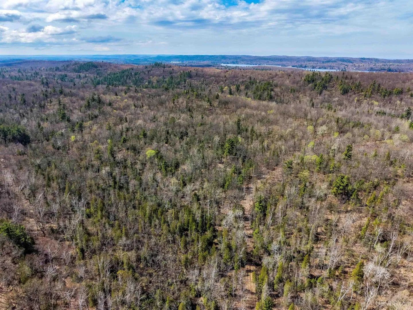Vacant Land in Negaunee - Negaunee, Michigan, 49866