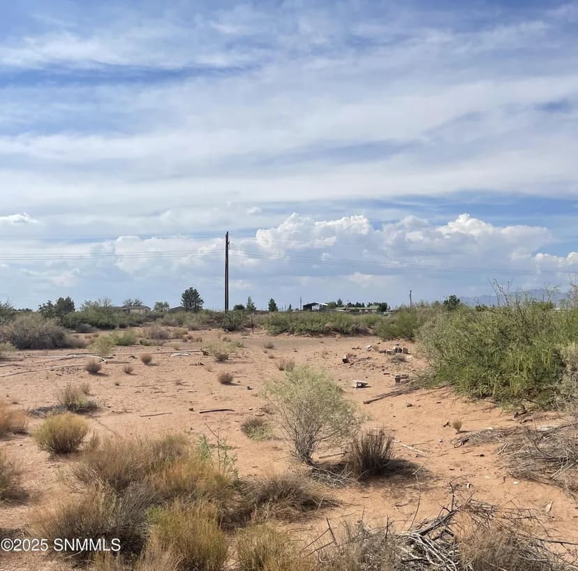 Vacant Land in Deming