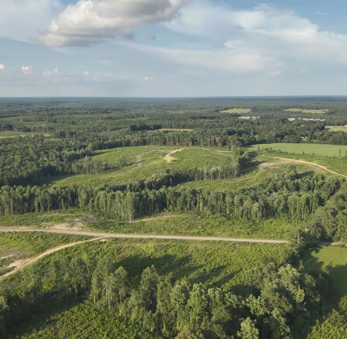 91 Acres in Wayne County in Waynesboro, MS - Waynesboro, Mississippi, 39367