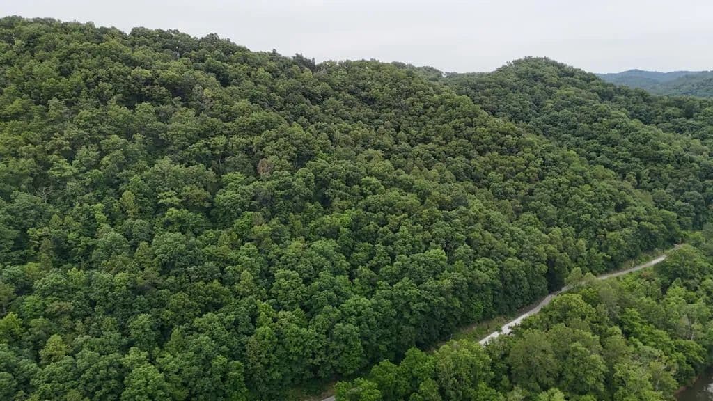 Lots & Land-Other in Louisa - Louisa, Kentucky, 41230