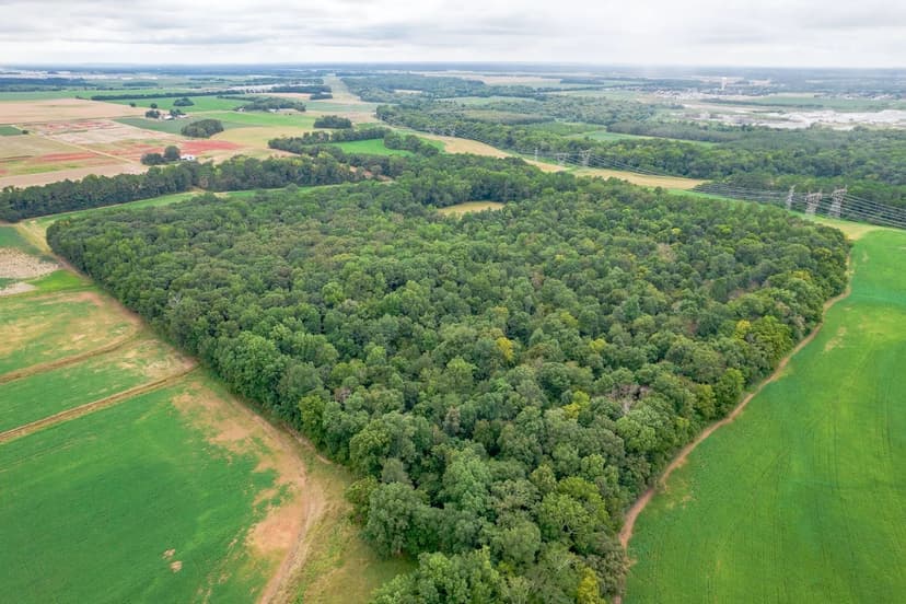 Limestone 25.5+/- Development Acreage