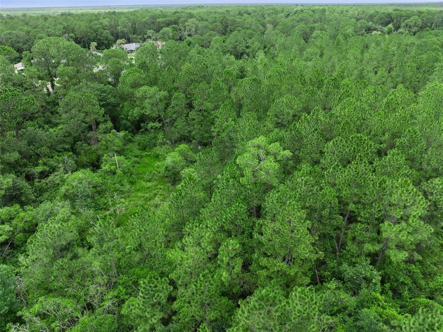 Property from 35 FYFE AVENUE - KW - Debary, Florida, 32713