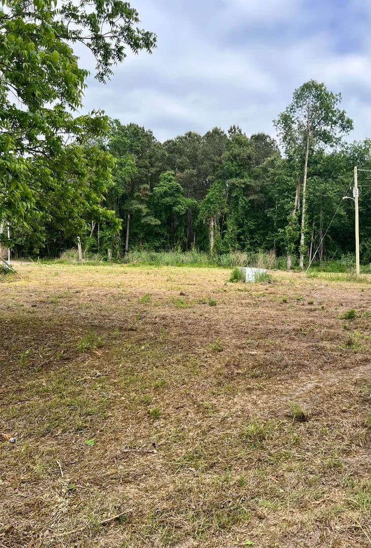 Vacant Land in Saint George - Saint George, South Carolina, 29477