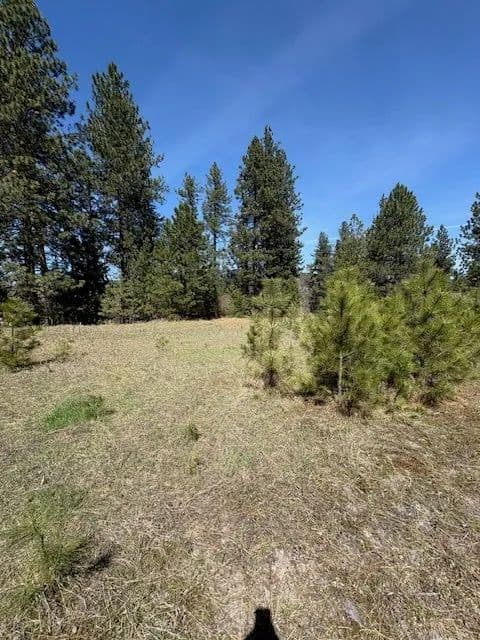 Lots & Land-Other in St Regis