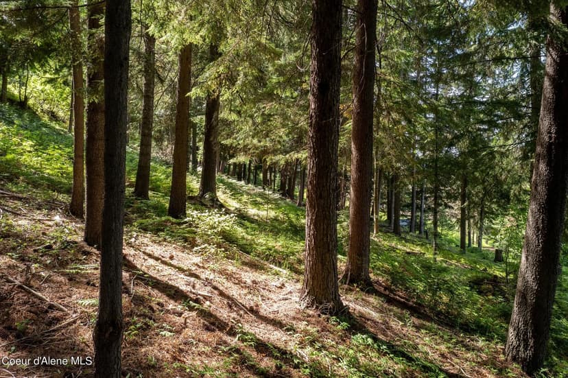 Property from NKA Makridge Lane - KW