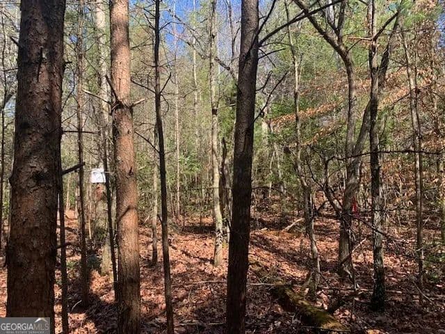 5.17 Acres of Land for Sale in Ellijay, GA - Ellijay, Georgia, 30536